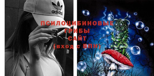 apvp Абдулино