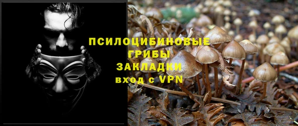 каннабис Абаза
